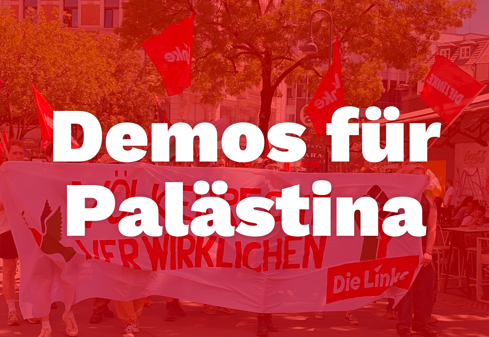 https://dielinke-aachen.de/partei/aktuell/laufdemos-fuer-palaestina-vertreibung-und-aushungerung-in-gaza-stoppen-voelkerrecht-verwirklichen